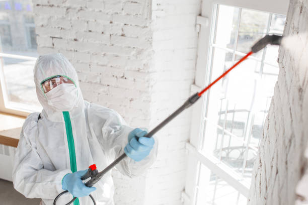 Best Industrial Mold Remediation  in USA